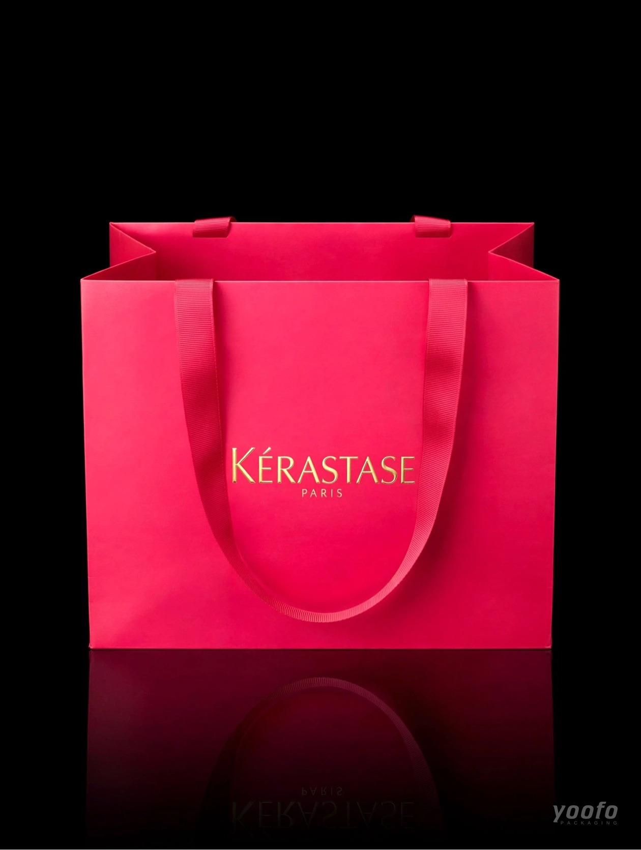 Kerastase Paper Bag - 4