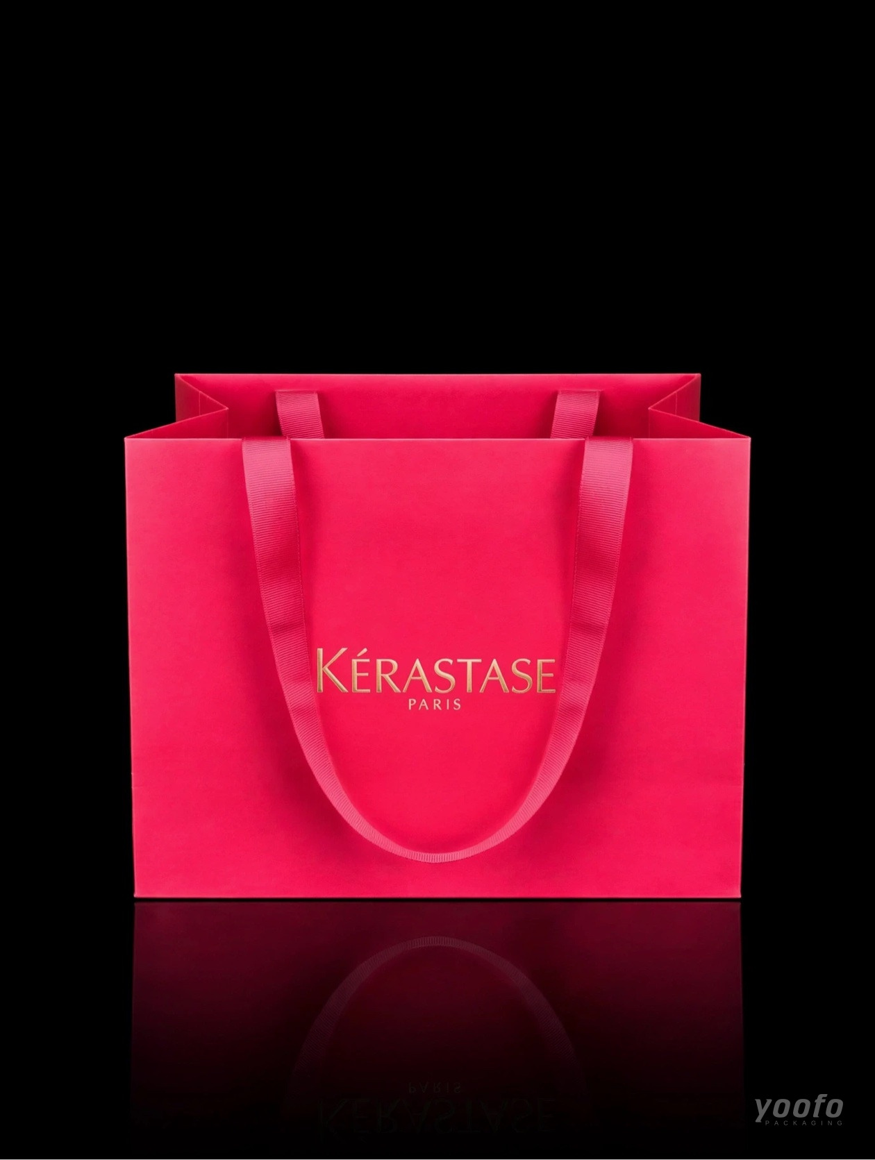 Kerastase Paper Bag - 5