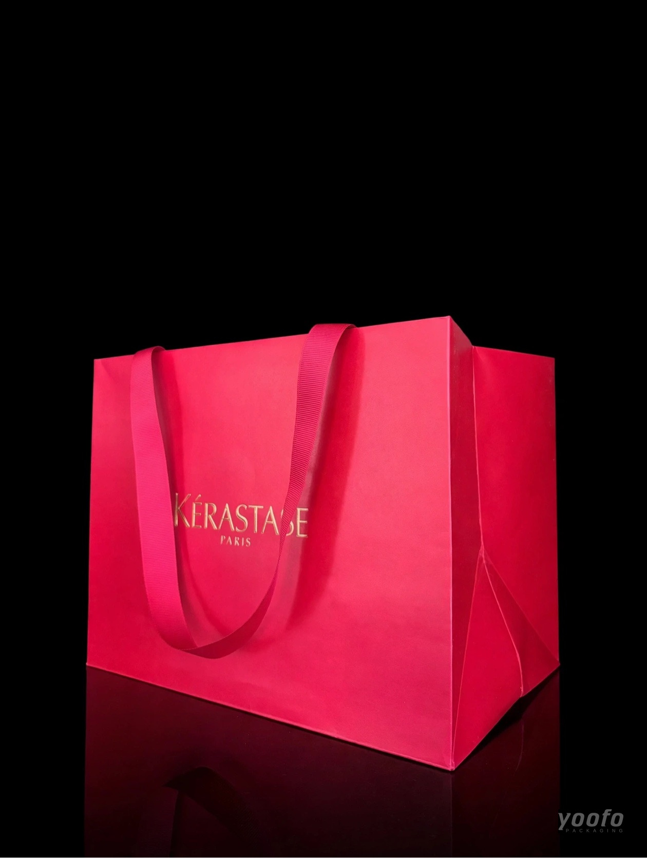Kerastase Paper Bag - 2